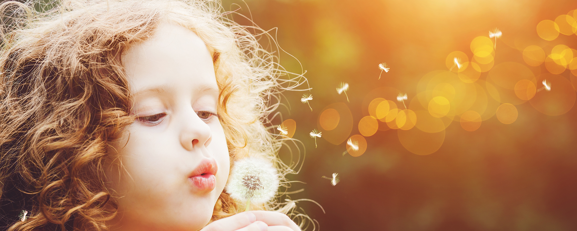 Little girl blowing dandelion